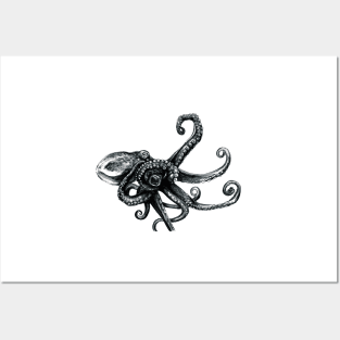 Octopus Posters and Art